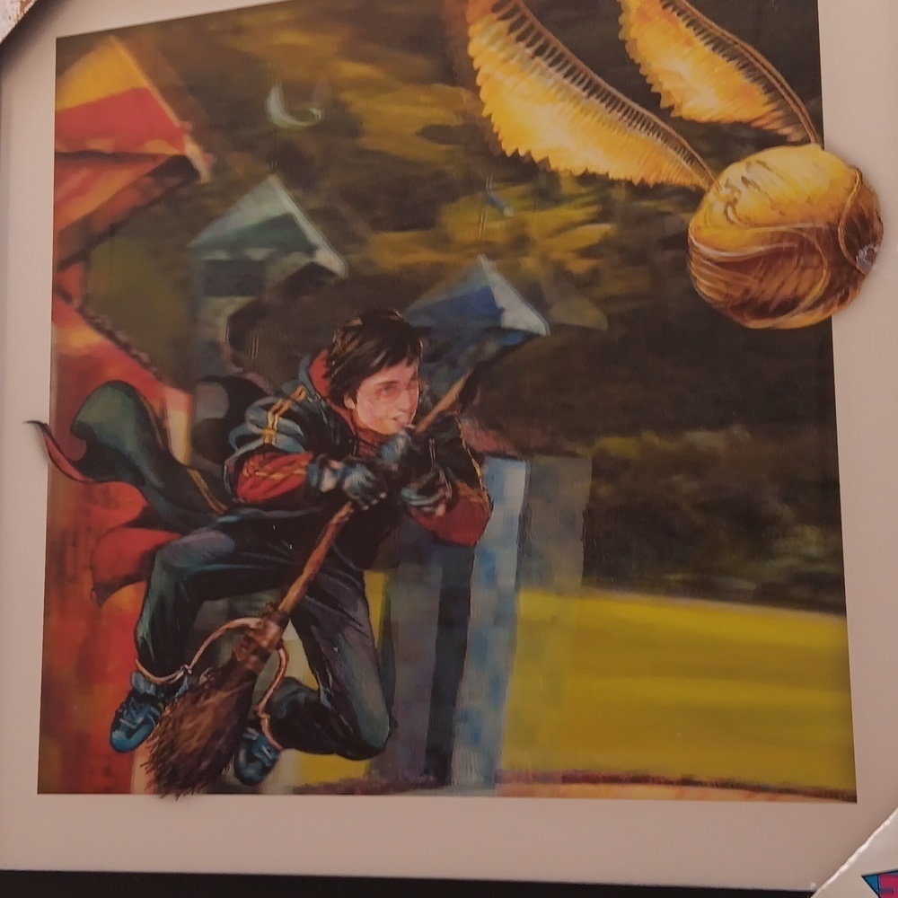 Harry potter framed ,picture flying Harry potter movement - Picture 7 of 9